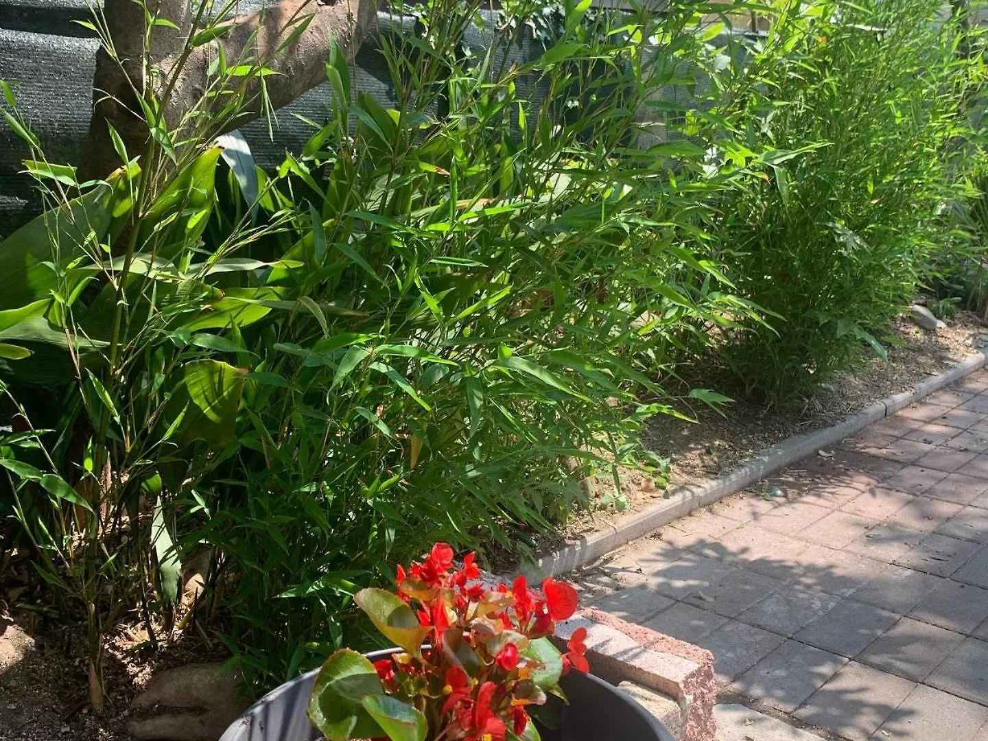 רימיני Hotel Migani